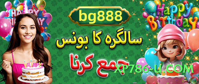 winpkr Bronze v4.8.6 PK Screenshot 2